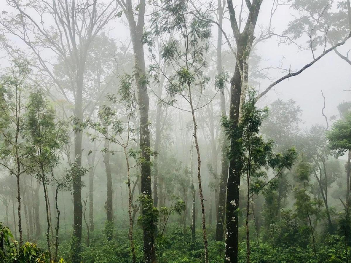 Coorg Wilderness Resort & Spa Madikeri Eksteriør bilde