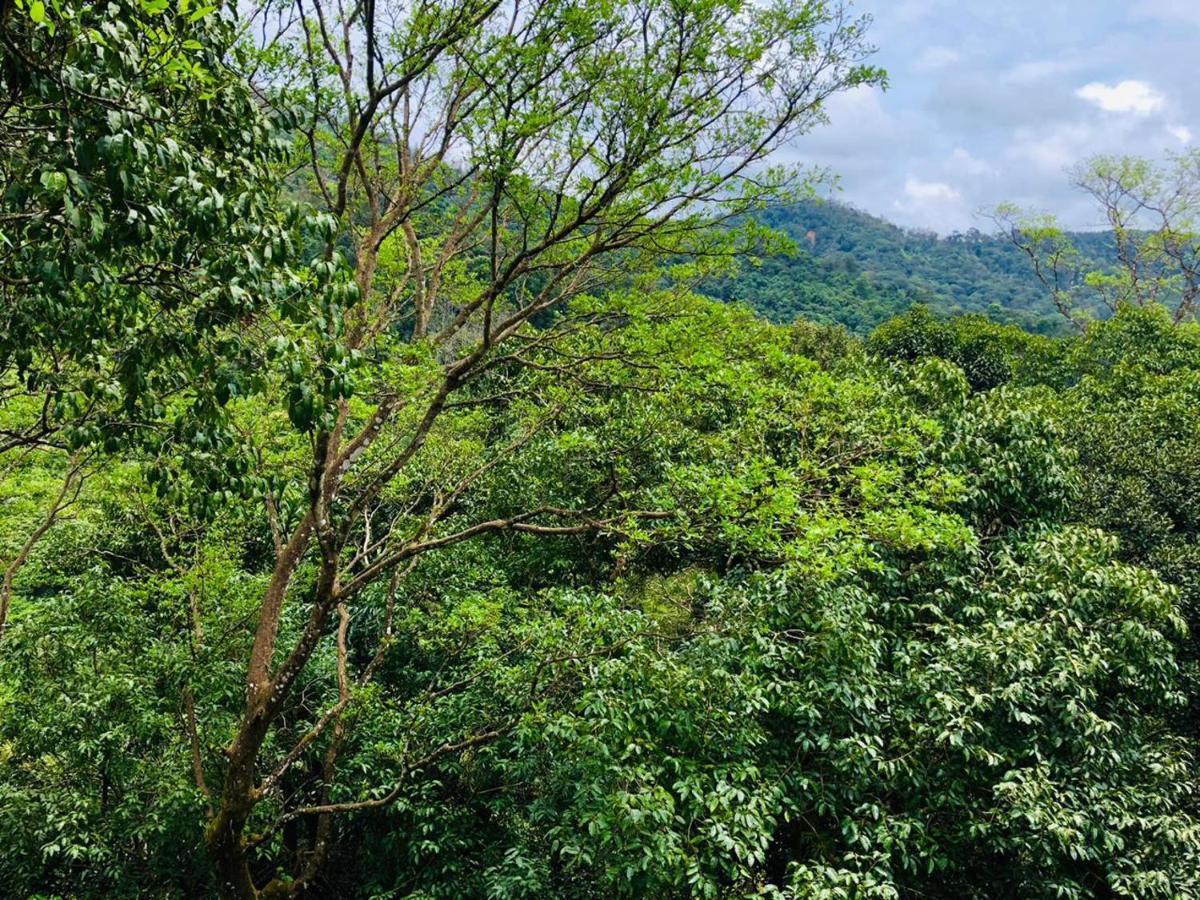 Coorg Wilderness Resort & Spa Madikeri Eksteriør bilde