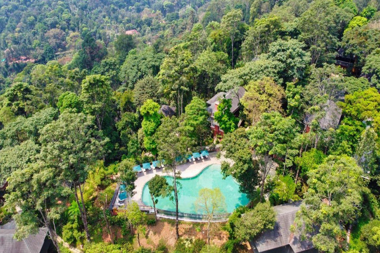 Coorg Wilderness Resort & Spa Madikeri Eksteriør bilde